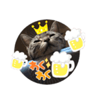 まいにち猫日和（個別スタンプ：14）