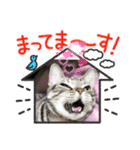 まいにち猫日和（個別スタンプ：20）