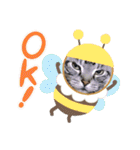 まいにち猫日和（個別スタンプ：25）
