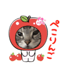 まいにち猫日和（個別スタンプ：26）