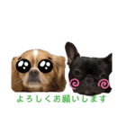 イッヌฅ^•ﻌ•^ฅ（個別スタンプ：4）