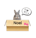 うさぎのノエルちゃん（個別スタンプ：7）