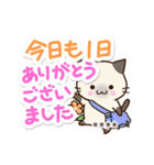 毎日便利☆おちゃめなシャム猫【カスタム】（個別スタンプ：38）