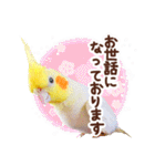 オカメインコ(*´ω｀*)冬Ver.（個別スタンプ：26）