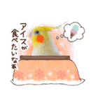 オカメインコ(*´ω｀*)冬Ver.（個別スタンプ：37）