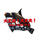 海森のみつじダヨォ⭐️（個別スタンプ：8）
