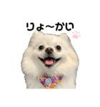 ゆるポメわたちゃん♡（個別スタンプ：11）