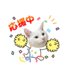 ねこ★ねこ★ねこ④（個別スタンプ：2）