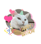 ねこ★ねこ★ねこ④（個別スタンプ：14）