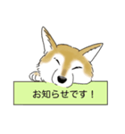 うちの柴犬パラダイス（個別スタンプ：12）