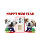 ごきげんジャックなこはてん♡ゆく年くる年（個別スタンプ：1）