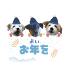 ごきげんジャックなこはてん♡ゆく年くる年（個別スタンプ：2）
