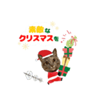 ごきげんジャックなこはてん♡ゆく年くる年（個別スタンプ：4）