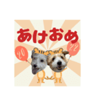 ごきげんジャックなこはてん♡ゆく年くる年（個別スタンプ：6）