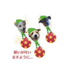 ごきげんジャックなこはてん♡ゆく年くる年（個別スタンプ：8）