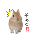 うさぎのてとまる。3（個別スタンプ：21）
