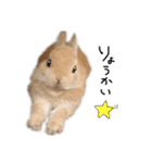 うさぎのてとまる。3（個別スタンプ：25）