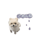 putty❤︎（個別スタンプ：2）