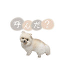 putty❤︎（個別スタンプ：3）