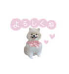 putty❤︎（個別スタンプ：4）