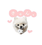 putty❤︎（個別スタンプ：5）