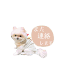 putty❤︎（個別スタンプ：8）