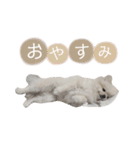 putty❤︎（個別スタンプ：9）