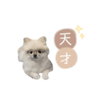 putty❤︎（個別スタンプ：11）