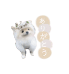 putty❤︎（個別スタンプ：13）