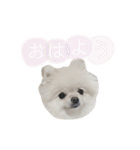 putty❤︎（個別スタンプ：14）