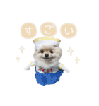 putty❤︎（個別スタンプ：15）