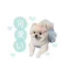putty❤︎（個別スタンプ：17）