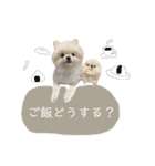putty❤︎（個別スタンプ：19）