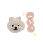 putty❤︎（個別スタンプ：21）