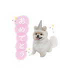putty❤︎（個別スタンプ：22）