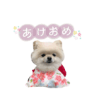 putty❤︎（個別スタンプ：23）