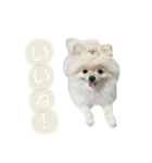 putty❤︎（個別スタンプ：24）
