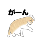 【ねこ語】楽しいトラねこスタンプ（個別スタンプ：7）