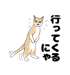 【ねこ語】楽しいトラねこスタンプ（個別スタンプ：11）