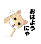 【ねこ語】楽しいトラねこスタンプ（個別スタンプ：15）