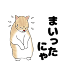 【ねこ語】楽しいトラねこスタンプ（個別スタンプ：20）