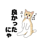 【ねこ語】楽しいトラねこスタンプ（個別スタンプ：27）