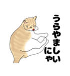 【ねこ語】楽しいトラねこスタンプ（個別スタンプ：39）