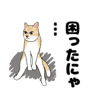 【ねこ語】楽しいトラねこスタンプ（個別スタンプ：40）