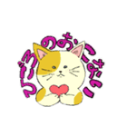 毎日ねこ100%（個別スタンプ：6）