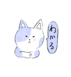 毎日ねこ100%（個別スタンプ：11）