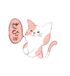 毎日ねこ100%（個別スタンプ：14）