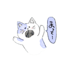 毎日ねこ100%（個別スタンプ：16）