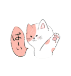 毎日ねこ100%（個別スタンプ：19）