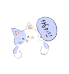 毎日ねこ100%（個別スタンプ：37）